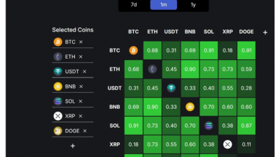비트코인 오를때 이더보다 솔라나가 더 오른다?