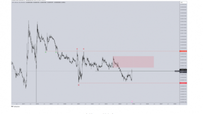 XRP, $20 도달 가능 … 최고가 달성 “단지 시간 문제”