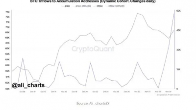 비트코인 고래들 대규모 매입–나흘간 $4.16B