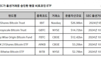 비트코인 ETF 옵션, 게임체인저 되나?