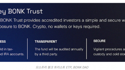 봉크(BONK), 유일무이 규제 친화 밈코인되나?