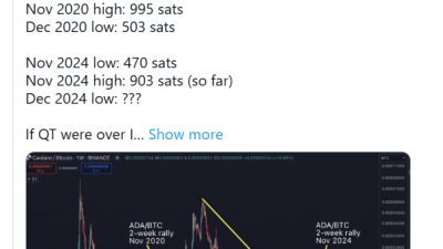 카르다노, 연말 전 비트코인 대비 하락 가능성