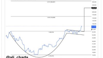 “비트코인, ‘스릴’ 단계…22만5천 달러 목표”