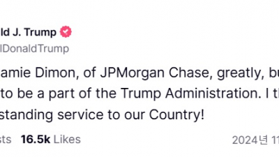 JP모건의 다이먼은 아니다