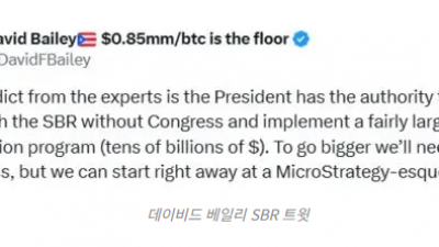 트럼프, 의회 승인 없이 비트코인 비축 가능