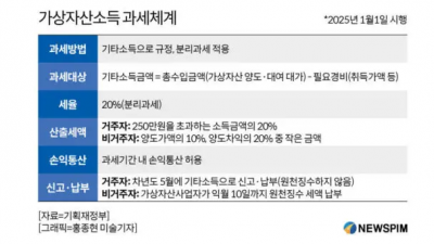 ‘쌍둥이법’인데 가상자산만 과세한다고?