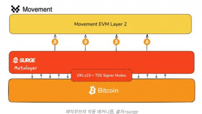 서지(Surge) 매직무브 출시