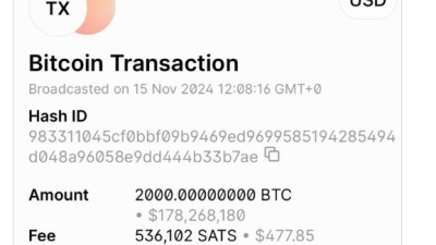 사토시 시대 고래 14년 만에 깨어나, 비트코인 2000개 이체