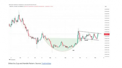 시바이누, 최대 30% 상승 가능성