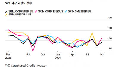 “내 금융위험 사갈래?” SRT 상품에 경고등