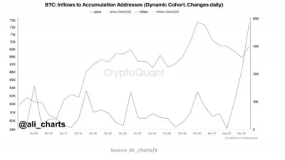 비트코인 고래들 대규모 축적–나흘간 $4.16B