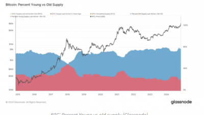 비트코인 장기 보유자들, 가격 상승에도 보유량 유지