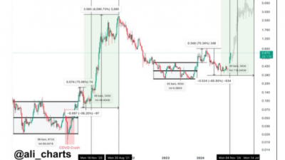 카르다노, 최고가 경신 어려워 vs 내년 3분기 $6 도달