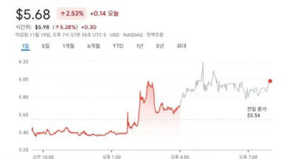 유튜브 대안 플랫폼 ‘럼블’, 비트코인 도입 검토에 주가 급등