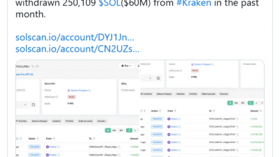 솔라나 고래, 한달간 SOL 6천만 달러 규모 매집