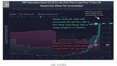 XRP, 3년 만에 최고가…고래와 기관 투자자 신뢰 상승