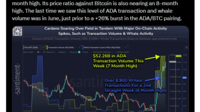 카르다노 가격 급등 맞춰 온체인 활동도 강화