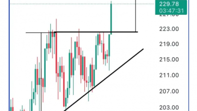 솔라나, $225 저항선 돌파 연중 최고가