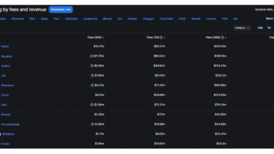 솔라나, 수수료 수익 상위권 독식…레이디움·지토·봉크봇 약진