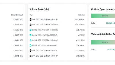 비트코인 풋옵션 거래량 급증