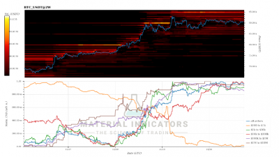 비트코인 고래 매수세 집중