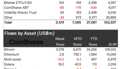 디지털 자산 펀드 지난주 사상 최고 순유입