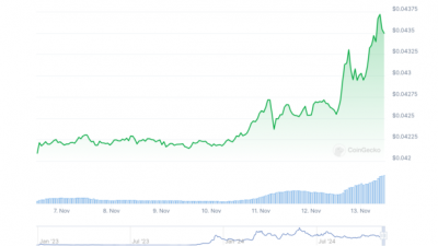 바이낸스US 상장 소식에⋯ 봉크, 30%대 급등