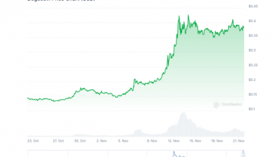 도지코인 급등세 주춤⋯ 원인은?