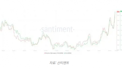 도지코인 급등, 기술적 지표 조정 가능성 시사