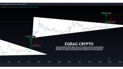 리플(XRP) 2017년 랠리 반복?