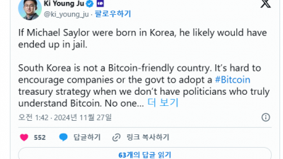 마이클 세일러 한국에서는 감옥에 갇혔을 것…엉망진창