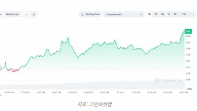 XRP 20% 급등… SEC 위원장 사임설과 소송 영향