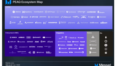 디핀 구축의 선두주자, 피크(peaq)의 비전과 미래 전략
