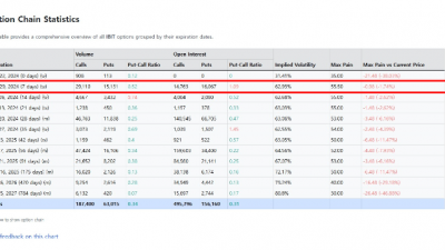 블랙록 비트코인 ETF, 29일 만기 앞두고 풋옵션 급증
