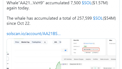 솔라나(SOL), 고래들이 매집한다