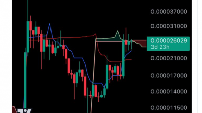 시바이누 토큰 5.45조 개, 거래소에서 이동