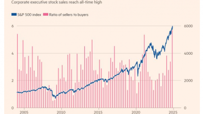 골드만삭스·테슬라 임원, 대선 후 대규모 주식 매도