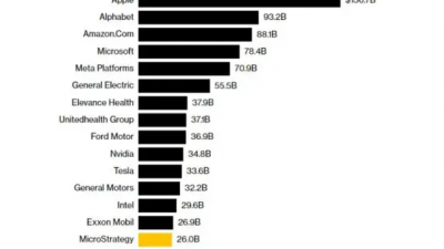 마이크로스트래티지 보유 비트코인, 나이키 IBM 현금 규모 초과