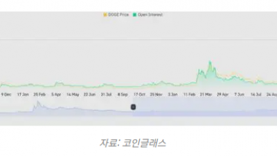 도지코인 선물 미결제 약정 사상 최고치