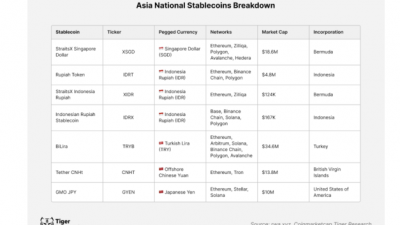 2024 아시아 자국통화 스테이블코인 동향