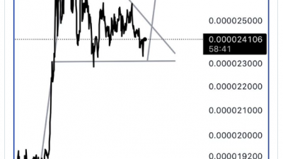 시바이누, 새로운 상승 가능성