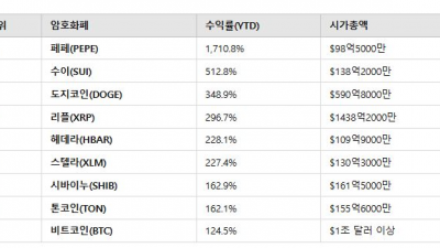 2024년 최고의 수익률을 기록한 암호화폐 TOP 9