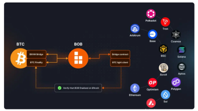 비오비(BOB), 비트코인 디파이 혁신… 하이브리드 BTC 수익 상품