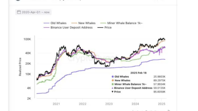 비트코인 올해 약세장 없을 것 … 7.7만달러까지 하락해도 강세장