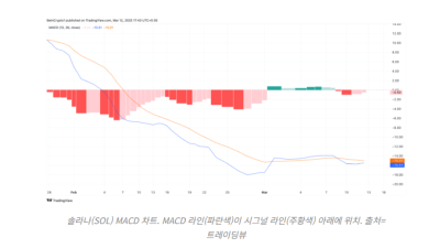 솔라나, ETF 승인 연기 발표에 시총 200억 넘게 증발