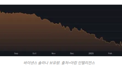 바이낸스, 솔라나 매집 재개…보유량 한 달 새 40% 증가