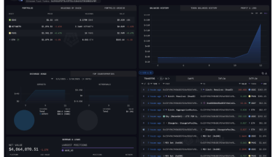 하이퍼리퀴드(HYPE), 익명의 고래로 인해 약 4000억원 롱 부담