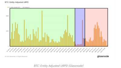 비트코인, 8만달러 무너지면 하락세 가속화 가능성