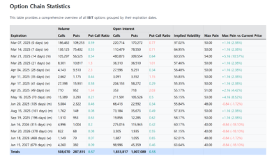 블랙록 IBIT 옵션 체인 데이터, 바닥은 4월?