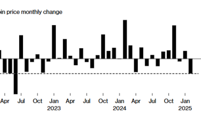 비트코인 급락 5가지 이유…트럼프 약발 다했나?